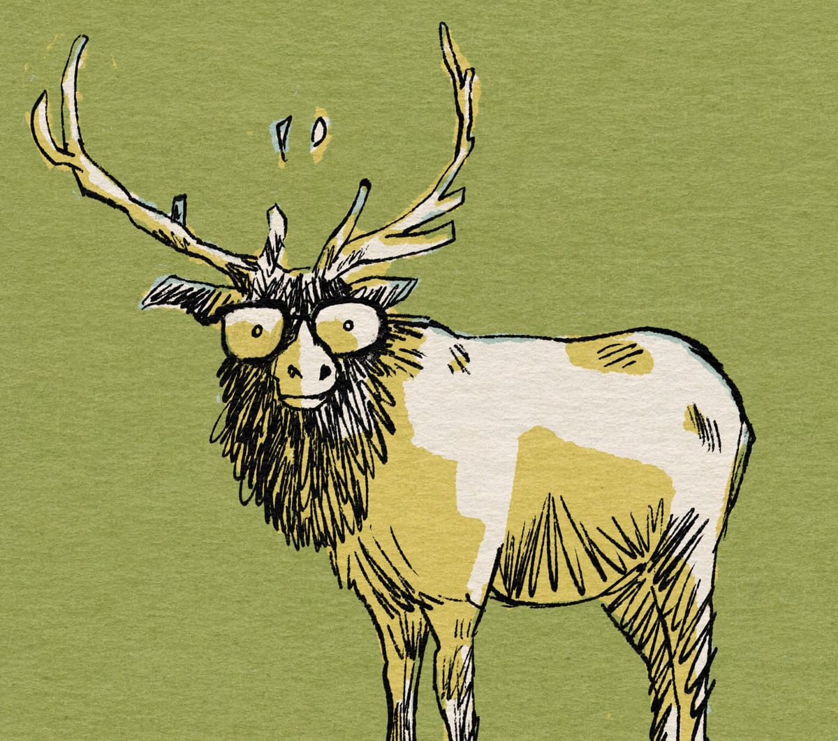 Put a Whale in Your Life