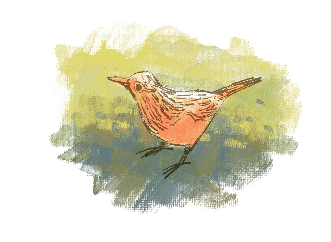 Making a Little Birdhouse in my Soul
