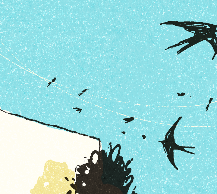Flying Lessons