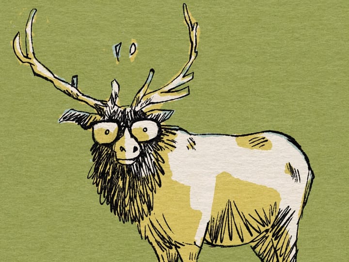 Put a Whale in Your Life